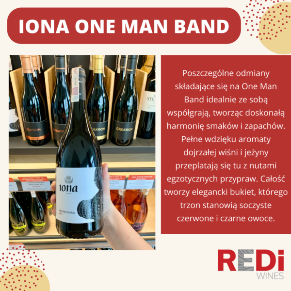 IONA ONE MAN BRAND 2012 OPIS